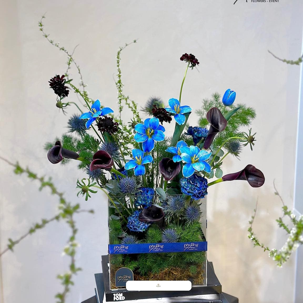 Không gian thương hiệu Richever