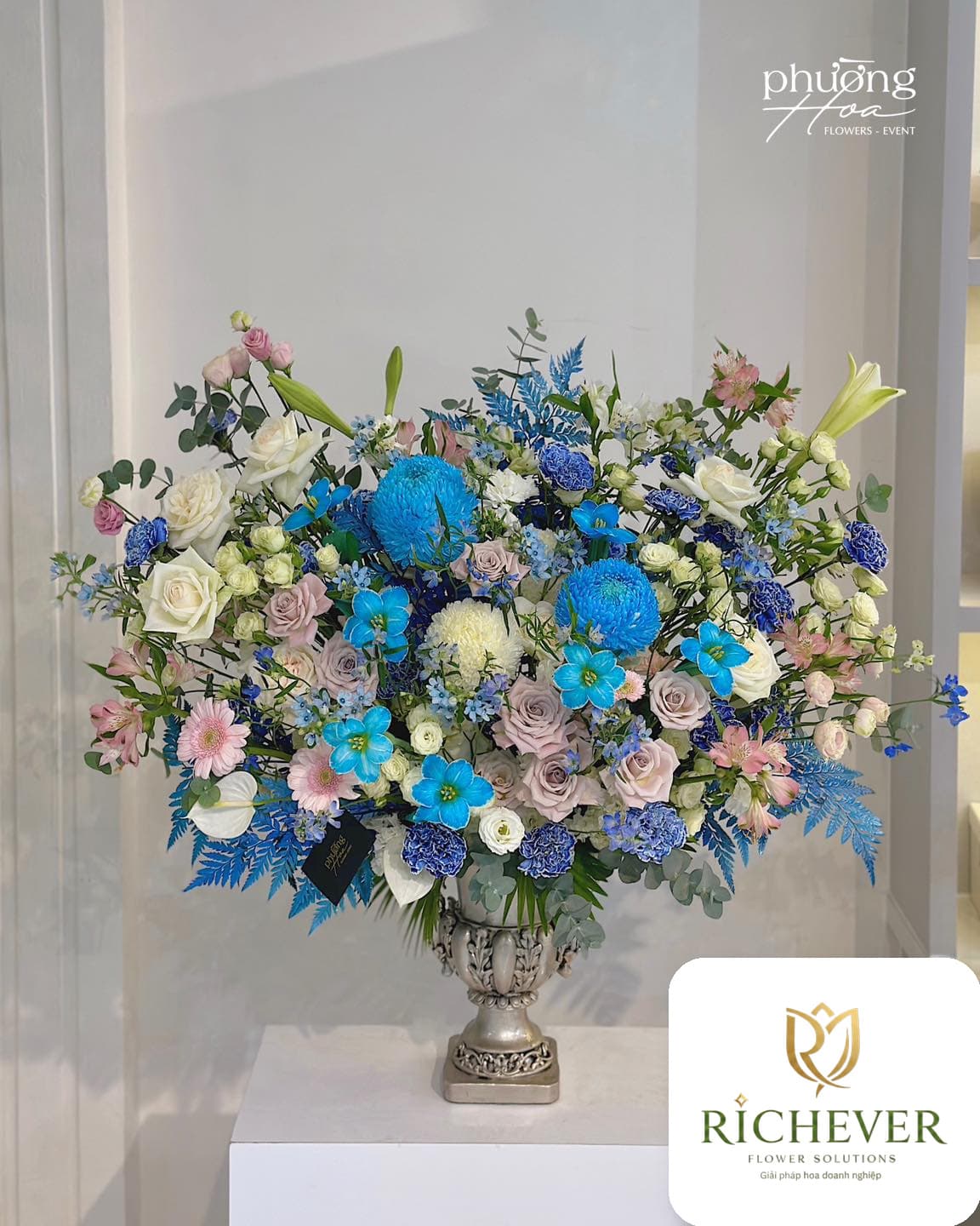 May mắn & khởi đầu mới